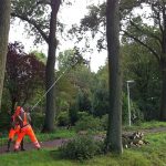 stormschade Medewerkers van de gemeente ruimen de takken op.