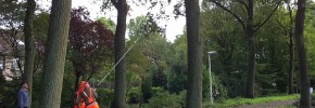 Medewerkers van de gemeente ruimen de takken op.