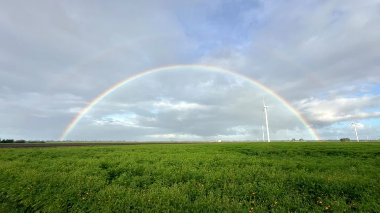 regenboog