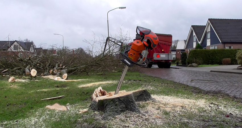 bomenkap